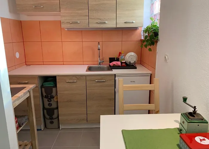 Janko By El-pi Tours *